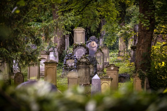 HD_Berfriedhof_JuedFriedhof © Heidelberg Marketing GmbH